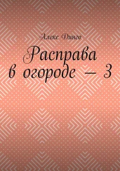 Алекс Динго - Расправа в огороде – 3