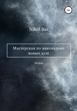 Nikol Sax Мастерская по наковальне новых душ обложка книги