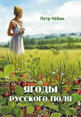 Петр Чёбин Ягоды русского поля обложка книги