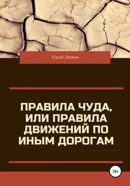 Юрий Занкин Правила чуда, или Правила движений по иным дорогам обложка книги