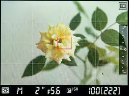 Las líneas auxiliares bien en el visor o en la pantalla de la cámara son muy - фото 18
