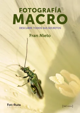 Fran Nieto Fotografía Macro обложка книги