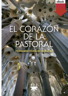 Fernando Cordero Morales El corazón de la pastoral обложка книги