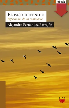 Alejandro Fernández Barrajón El paso detenido обложка книги