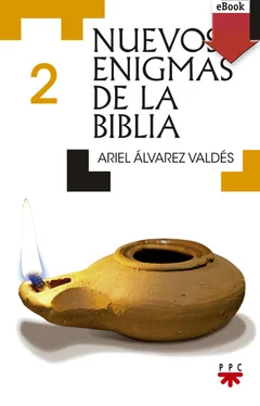 Ariel Álvarez Valdés Nuevos enigmas de la biblia 2 обложка книги