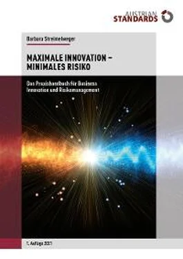 Barbara Streimelweger Maximale Innovation – Minimales Risiko обложка книги