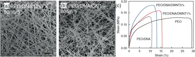 Figure 22 a b The PEODNA nanofiber webs containing 5 DNAdispersed DWNTs - фото 11