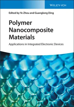 Неизвестный Автор Polymer Nanocomposite Materials обложка книги