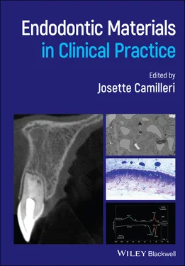 Неизвестный Автор Endodontic Materials in Clinical Practice обложка книги
