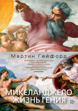 Мартин Гейфорд Микеланджело. Жизнь гения обложка книги