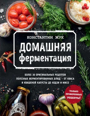 Константин Жук Домашняя ферментация обложка книги