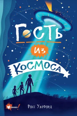 Росс Уэлфорд Гость из космоса обложка книги