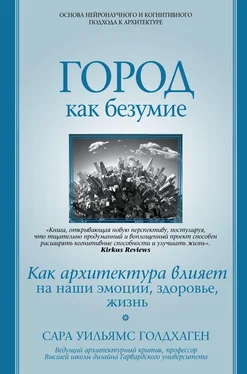 Сара Уильямс Голдхаген Город как безумие. Как архитектура влияет на наши эмоции, здоровье, жизнь обложка книги