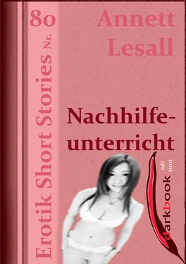 Annett Lesall Nachhilfeunterricht обложка книги