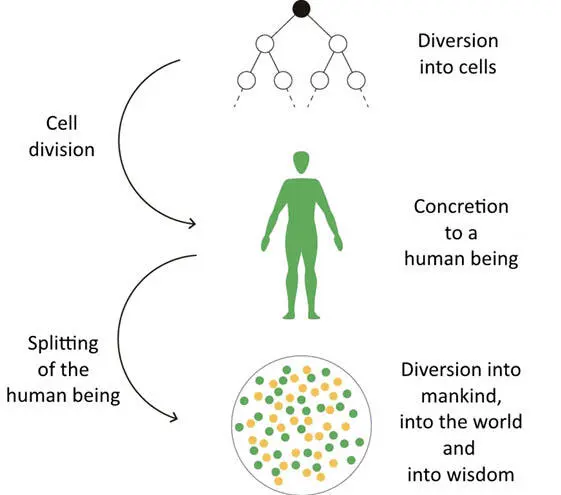 This image of the diversion of the cells will help you understand the splitting - фото 1