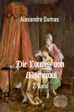 Alexandre Dumas Die Louves von Machecoul 2. Band обложка книги