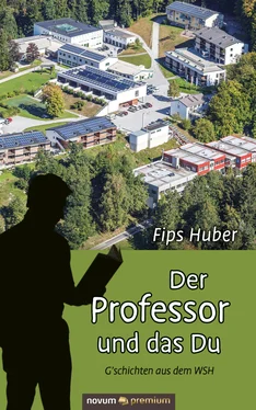 Fips Huber Der Professor und das Du обложка книги