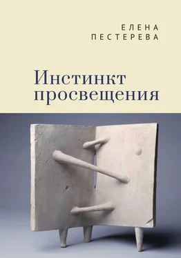 Елена Пестерева Инстинкт просвещения обложка книги