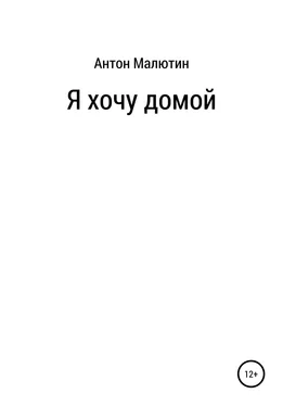 Антон Малютин Я хочу домой обложка книги