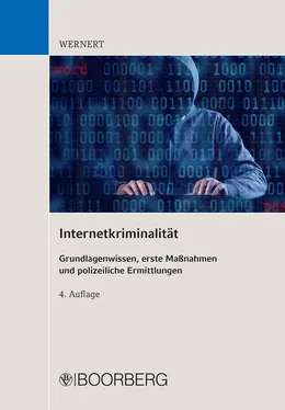 Manfred Wernert Internetkriminalität обложка книги