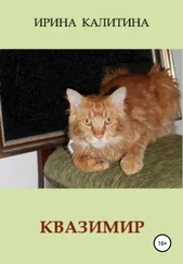 Ирина Калитина - Квазимир