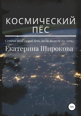 Екатерина Широкова Космический пёс обложка книги