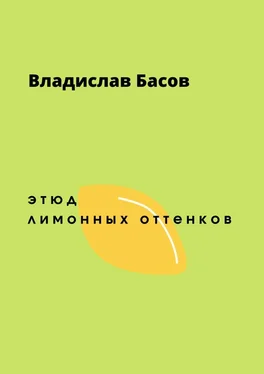 Владислав Басов Этюд лимонных оттенков обложка книги