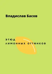 Владислав Басов - Этюд лимонных оттенков