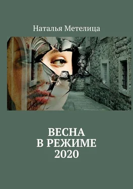 Наталья Метелица ВЕСНА в режиме 2020 обложка книги