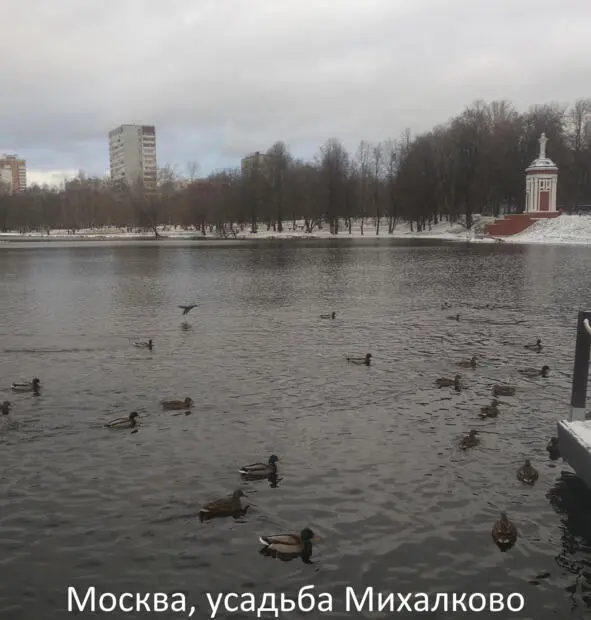 Серое небо низко нависало над прудом В неподвижной воде отражались деревья и - фото 5