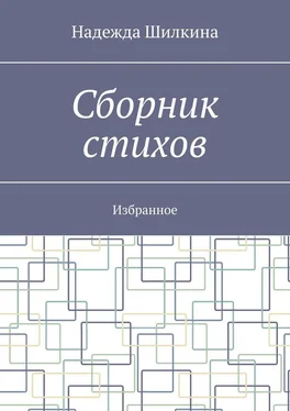 Надежда Шилкина Сборник стихов. Избранное обложка книги