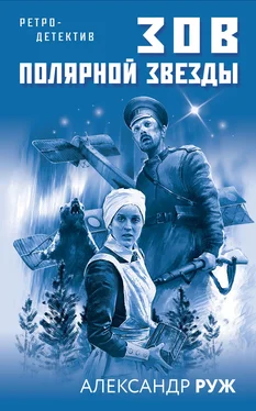 Александр Руж Зов Полярной звезды обложка книги