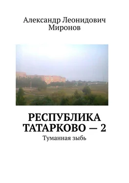 Александр Миронов Республика Татарково – 2. Туманная зыбь обложка книги