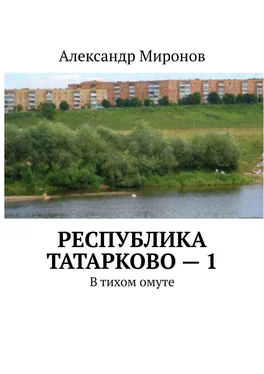 Александр Миронов Республика Татарково – 1. В тихом омуте обложка книги