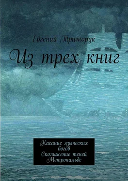 Евгений Триморук Из трех книг. Касание языческих богов. Скольжение теней. Метрональдс обложка книги