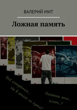 Валерий МИТ Ложная память обложка книги