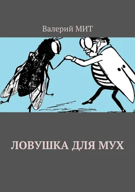 Валерий МИТ Ловушка для мух обложка книги