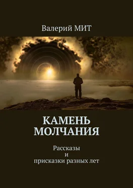 Валерий МИТ Камень молчания. Рассказы и присказки разных лет обложка книги