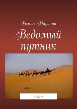 Роман Маринин Ведомый путник. Поэзия обложка книги