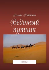 Роман Маринин - Ведомый путник. Поэзия