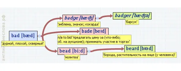 Вложенные английские слова C 50 веток - фото 75
