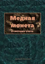 Дмитрий Павлушин - Медная монета в системе счета