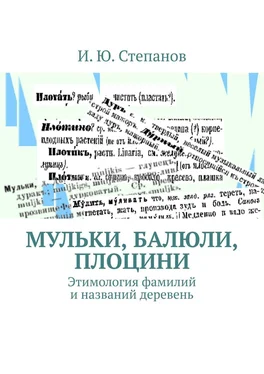 И. Степанов МУЛЬКИ, БАЛЮЛИ, ПЛОЦИНИ. Этимология фамилий и названий деревень обложка книги