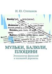 И. Степанов - МУЛЬКИ, БАЛЮЛИ, ПЛОЦИНИ. Этимология фамилий и названий деревень