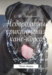 С. Кайгородов - Невероятные приключения кане-корсо. Часть вторая
