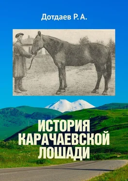 Р. Дотдаев История карачаевской лошади обложка книги