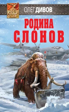 Олег Дивов Родина слонов обложка книги