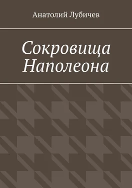 Анатолий Лубичев Сокровища Наполеона обложка книги