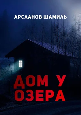 Шамиль Арсланов Дом у озера обложка книги