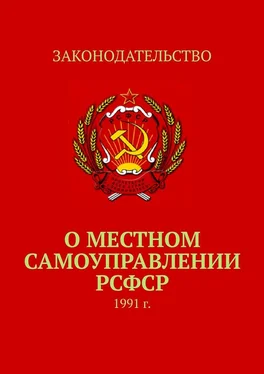 Тимур Воронков О местном самоуправлении РСФСР. 1991 г. обложка книги